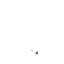 556bet